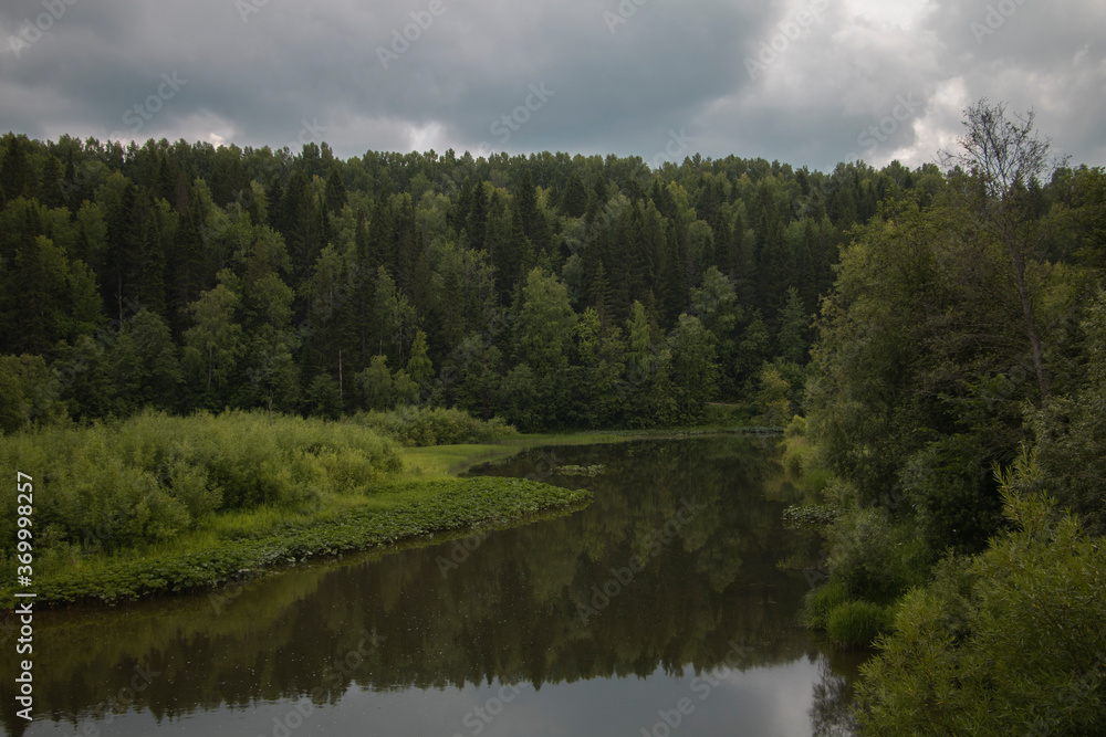 A small river in the middle of a green dense coniferous forest
