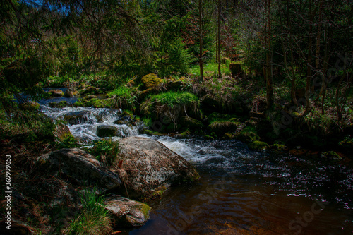 Hamersky stream at Sumava national park