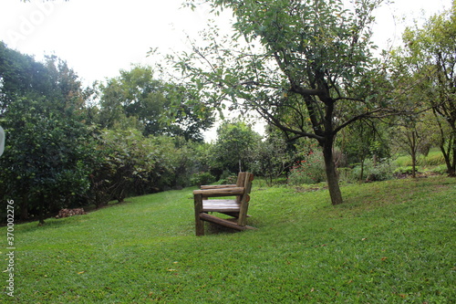 bench in the grass