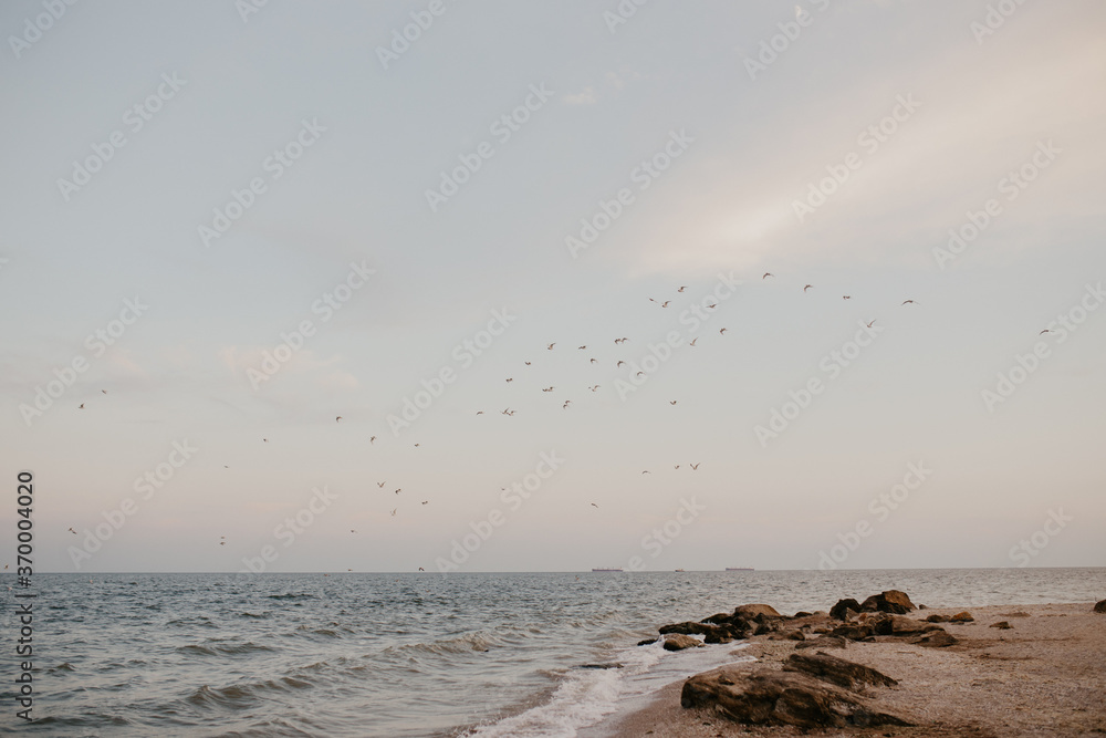 Fototapeta premium sea ​​beach seagulls flying sunset