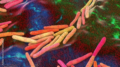 Bacteria Mycobacterium tuberculosis, the causative agent of tuberculosis, 3D animation photo