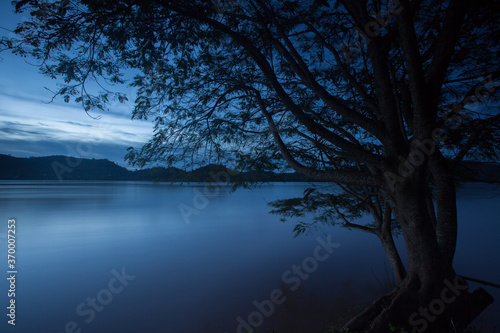 River reflection with tree  at night time © pattierstock
