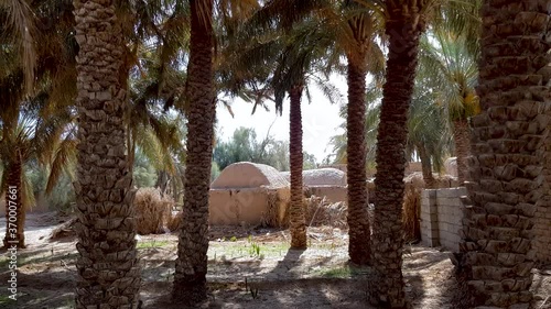 Ruins of an old mud building in palm tree in the shade of trees and summer nice breeze in desert village Rigan Kerman in Iran photo