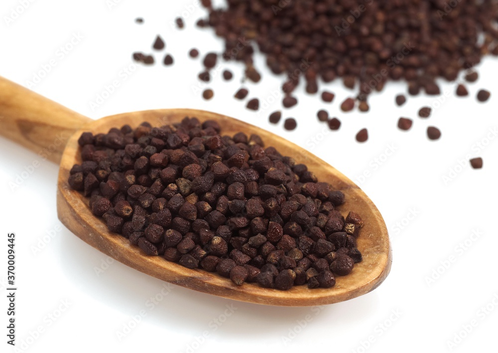 SPOON WITH GRAINS OF PARADISE aframomum melegueta, AFRICAN SPICE SPOON WITH GRAINS OF PARADISE aframomum melegueta, AFRICAN SPICE