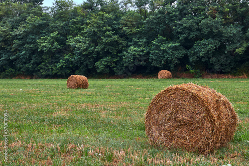 Hay bales in a green grass field