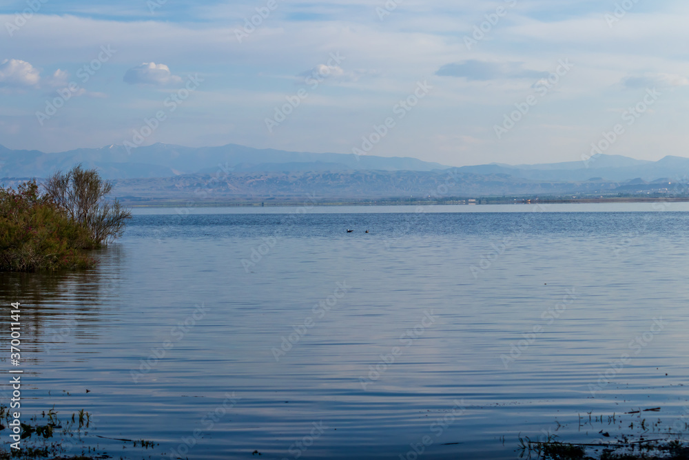 view of the lake with seagulls swimming in the it