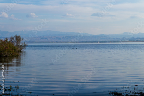 view of the lake with seagulls swimming in the it