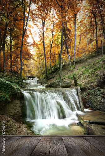 Fototapeta Naklejka Na Ścianę i Meble -  forest waterfall