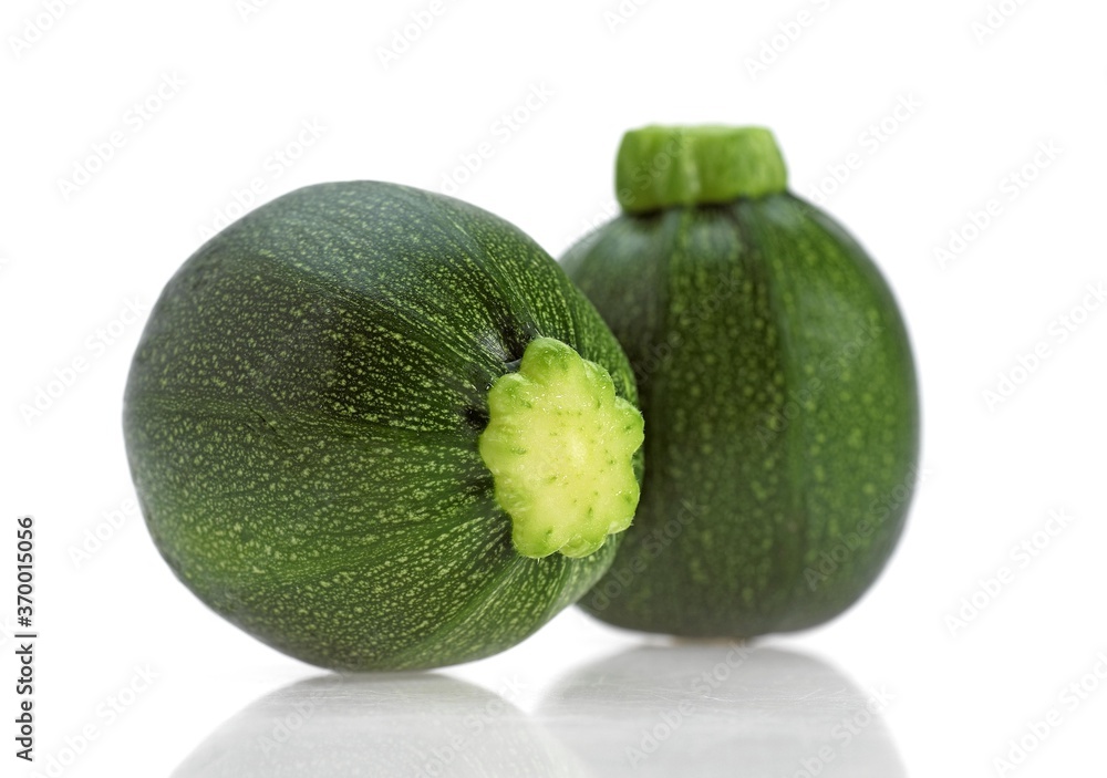 ROUND COURGETTE OR ZUCCHINI cucurbita pepo ROUND COURGETTE OR ZUCCHINI cucurbita pepo