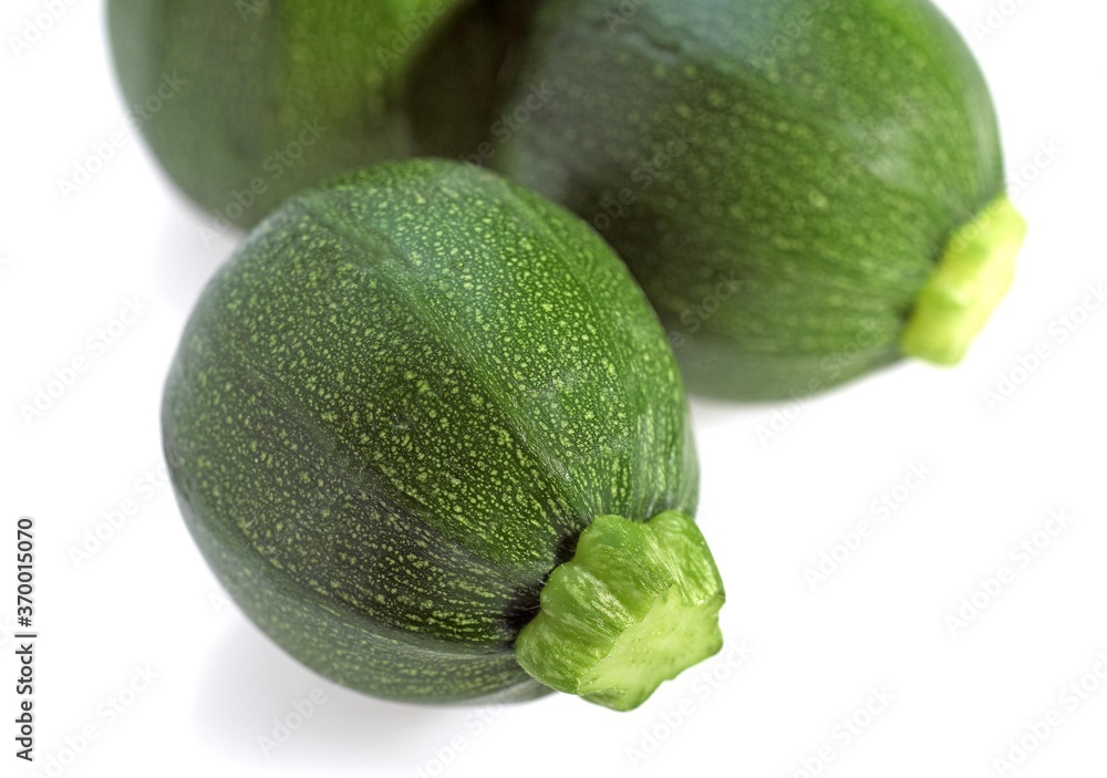 ROUND COURGETTE OR ZUCCHINI cucurbita pepo ROUND COURGETTE OR ZUCCHINI cucurbita pepo