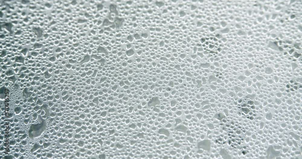 droplets on the foggy greenhouse glass background droplets on the foggy greenhouse glass background
