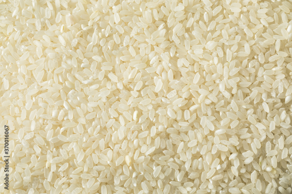 Raw Dry Organic Short Grain White Rice Raw Dry Organic Short Grain White Rice
