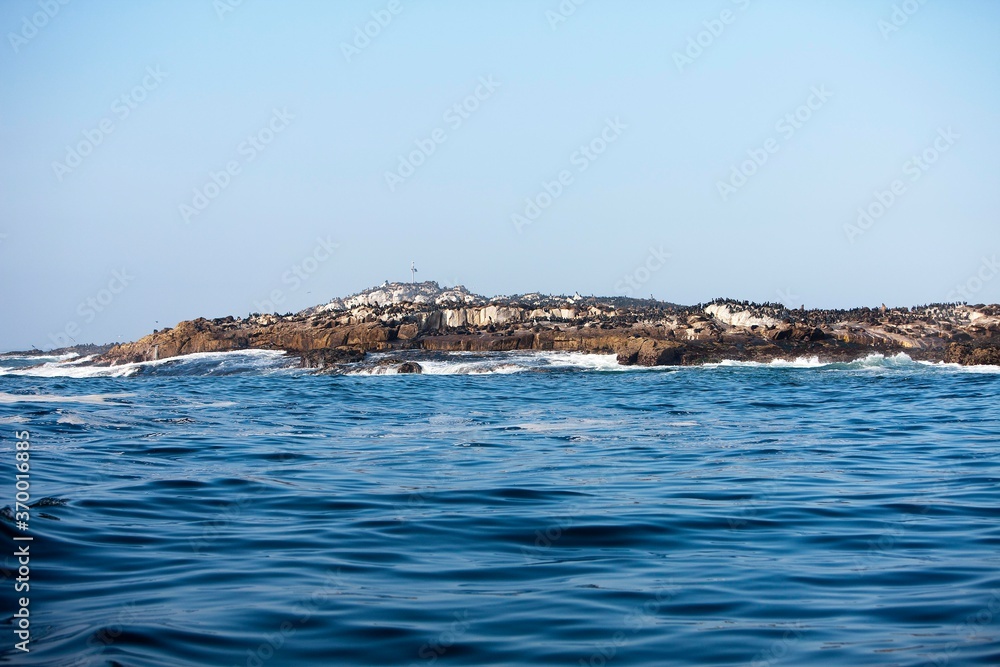 SEAL ISLAND IN FALSE BAY, SOUTH AFRICA, ISLAND WHERE A COLONY OF AFRICAN FUR SEALS LIVES