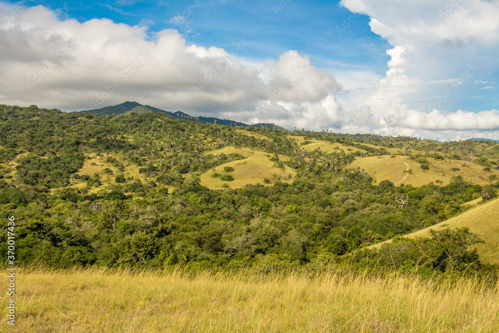The landscape of Rinca Island in Komodo National Park in Indonesia The landscape of Rinca Island in Komodo National Park in Indonesia