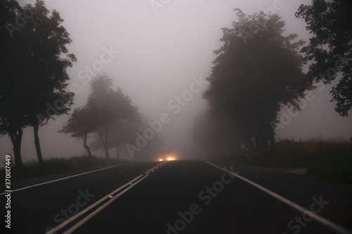 Światła samochodu jadącego we mgle