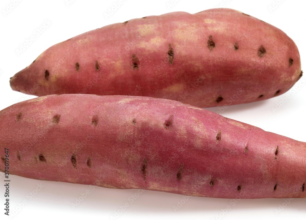 SWEET POTATO ipomoea batatas AGAINST WHITE BACKGROUND