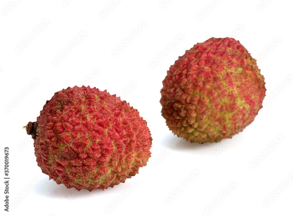 LITCHI OR LITCHEE litchi sinensis AGAINST WHITE BACKGROUND LITCHI OR LITCHEE litchi sinensis AGAINST WHITE BACKGROUND