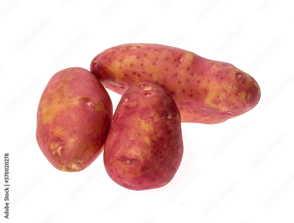 red potato isolated on white background red potato isolated on white background