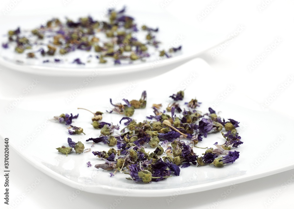DRY MALLOW FLOWER FOR INFUSION DRY MALLOW FLOWER FOR INFUSION