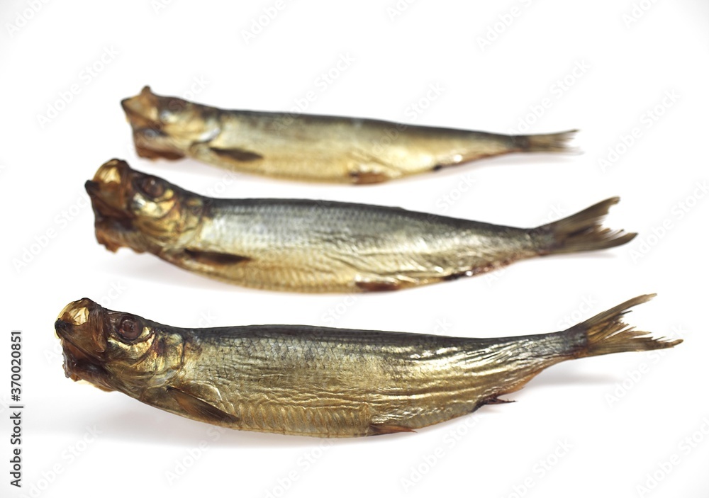 SMOKED HERRING OR BOUFFI BLOATER clupea harengus AGAINST WHITE BACKGROUND SMOKED HERRING OR BOUFFI BLOATER clupea harengus AGAINST WHITE BACKGROUND
