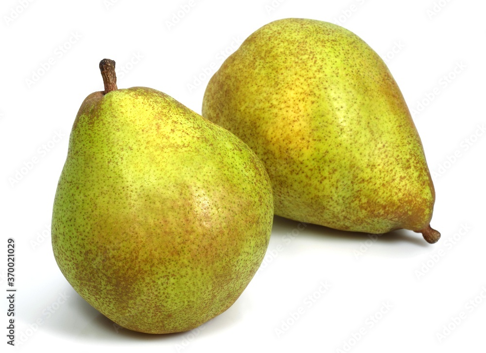 Comice Pear, pyrus communis, Fruit against White Background Comice Pear, pyrus communis, Fruit against White Background