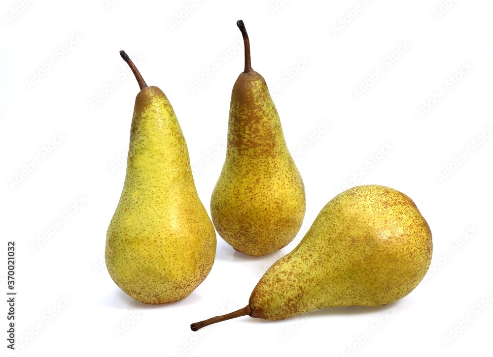 Conference Pear, pyrus communis, Against White Background