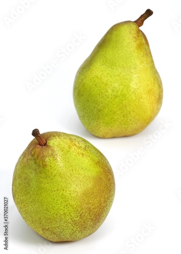 Comice Pear  pyrus communis  Fruit against White Background
