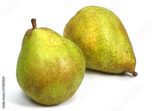 Comice Pear, pyrus communis, Fruit against White Background