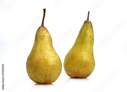 Conference Pear, pyrus communis, Against White Background