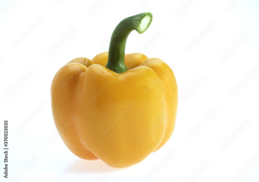 Sweet Yellow Pepper, capsicum annuum, against White Background Sweet Yellow Pepper, capsicum annuum, against White Background