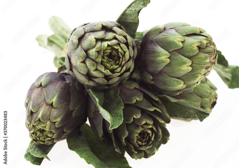 Obraz premium Artichoke, cynara scolymus, Vegetable against White Background