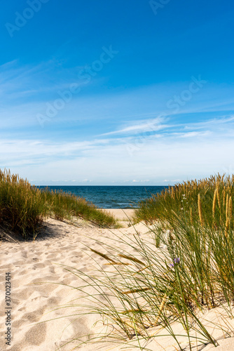 Fototapeta Naklejka Na Ścianę i Meble -  Peaceful beach with dunes and green grass. Ocean in the background, blue sky.
