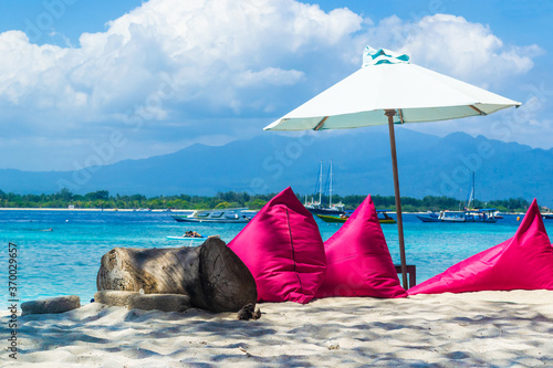 
Pink pillows on Gili Trawangan beach. Paradise beach on Gili island photo
