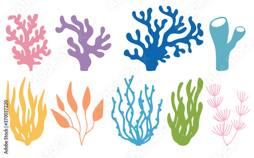 Fototapeta Naklejka Na Ścianę i Meble -  Vector set of colored corals and seaweeds silhouettes. Underwater coral reef and sea kelp in hand drawn doodle style. Marine aquarium plants illustration.