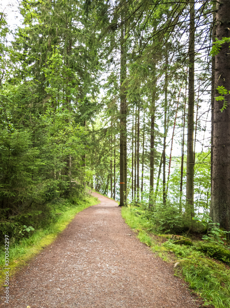 Fototapeta premium Hiking trail in green forest signifying the importance of adventure and fitness in life . Gothenburg Sweden