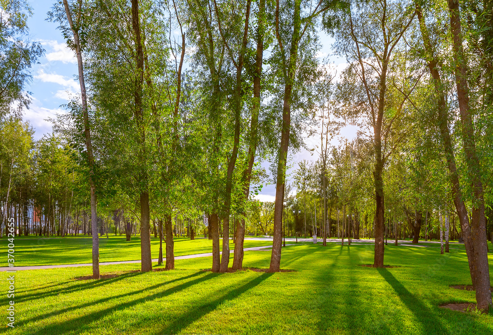 .Beautiful panorama of a green city park at sunrise