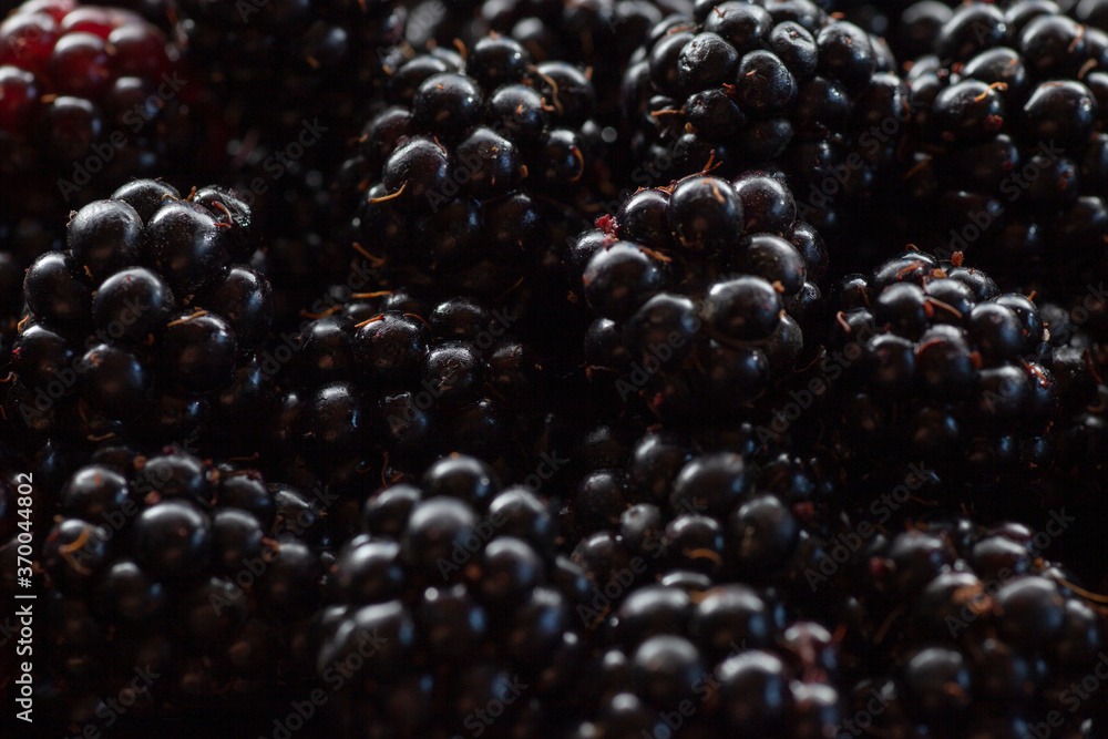 blackberry blackberry