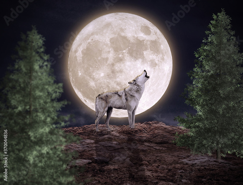 Obraz na plátně wolf howling at the moon