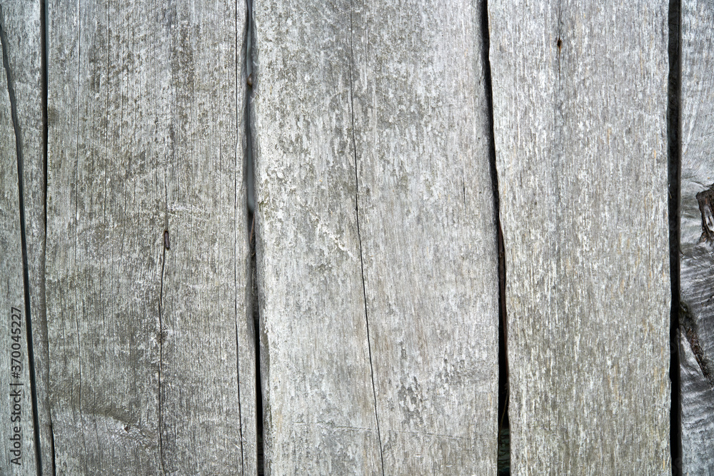 Fototapeta premium Light wooden background. Old boards weathered and bleached from time