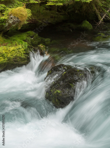 The Mckenzie River in the Willamette National Forest  Oregon.