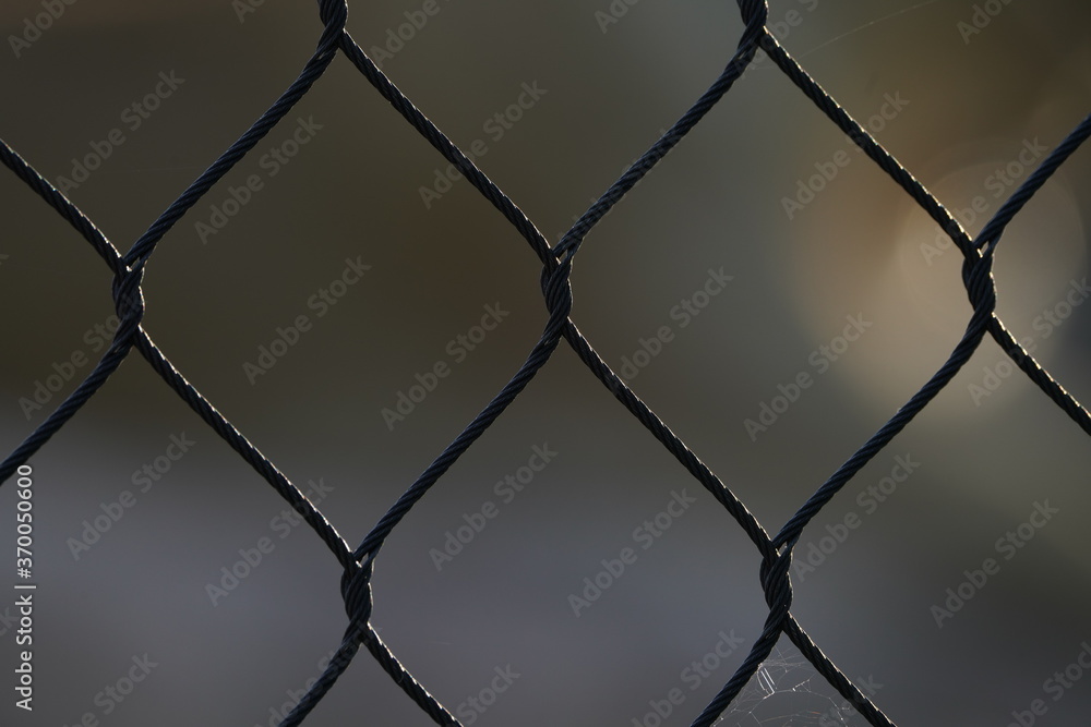 Lion Fence Lion Fence