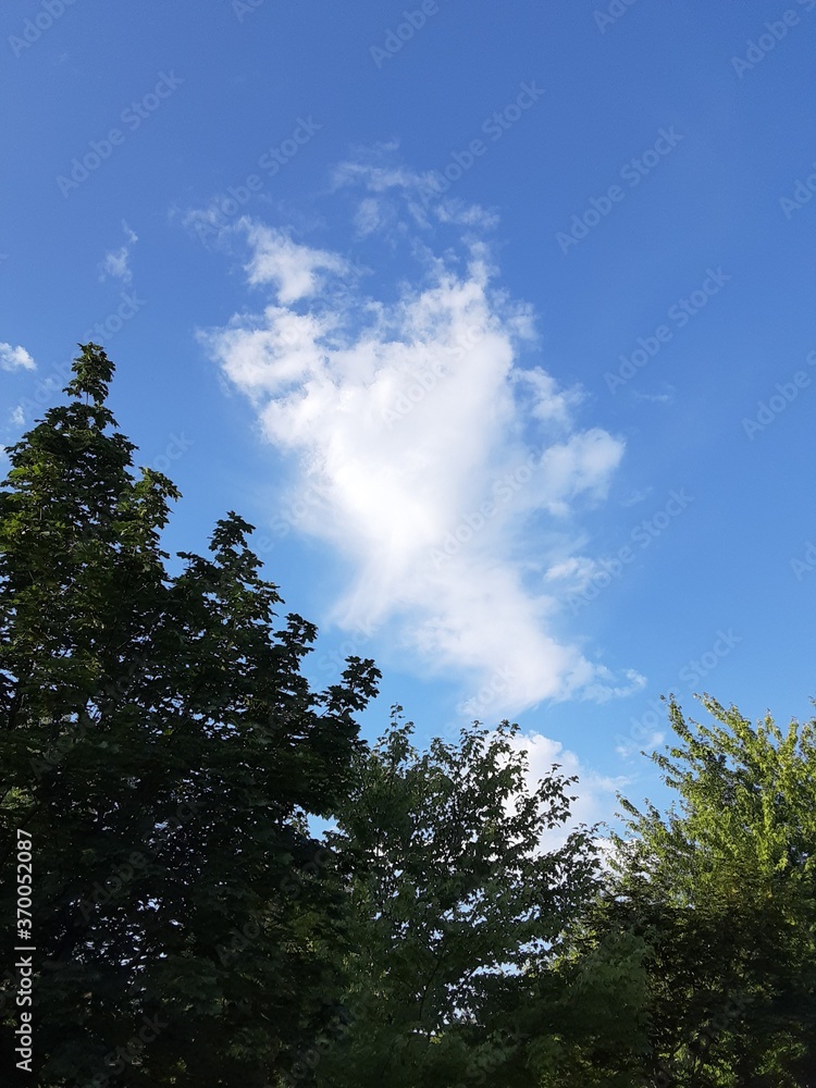 Obraz premium sky and clouds