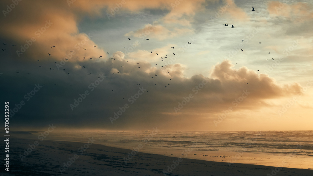 Seagulls flying along beach at sunset Seagulls flying along beach at sunset