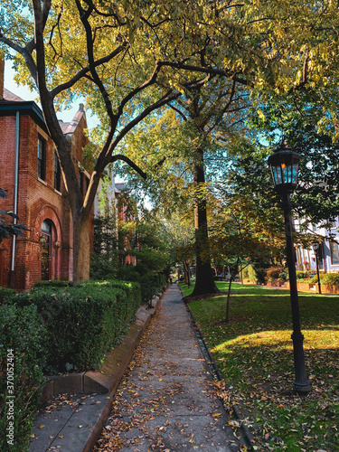 Billede på lærred Fall in Old Louisville