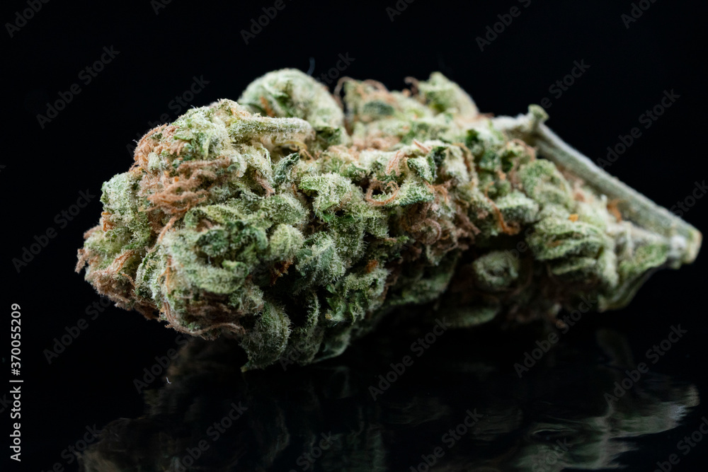 Close up of medical marijuana buds on black reflecting background