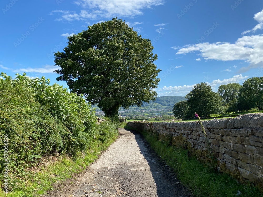 Rough country track, with a high hedgerow, old tree, and a dry stone wall, with hills and villages in the distance near, Farnley, Otley, UK Rough country track, with a high hedgerow, old tree, and a dry stone wall, with hills and villages in the distance near, Farnley, Otley, UK