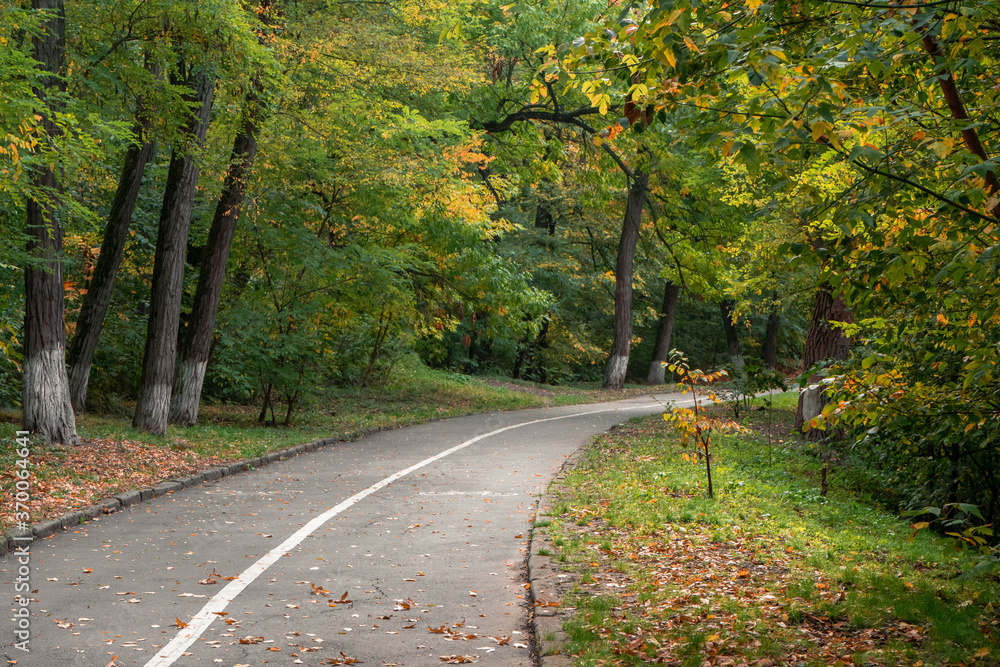 Asphalt path in a park with trees. Green foliage begins to turn yellow and fall off. Beginning of autumn. Asphalt path in a park with trees. Green foliage begins to turn yellow and fall off. Beginning of autumn.