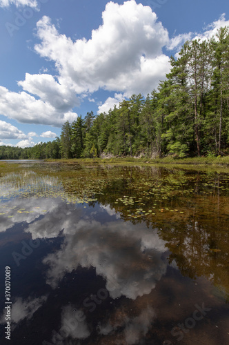 Bright white clouds and trees reflected in a still pond in Haliburton Ontario in summer