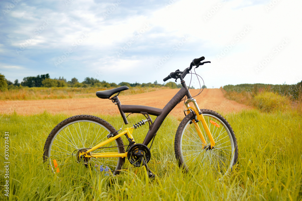A yellow mountain bike stands in a field. Travel, outdoor activities