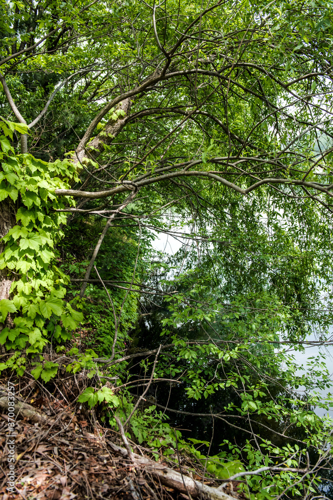 The beautiful river side 